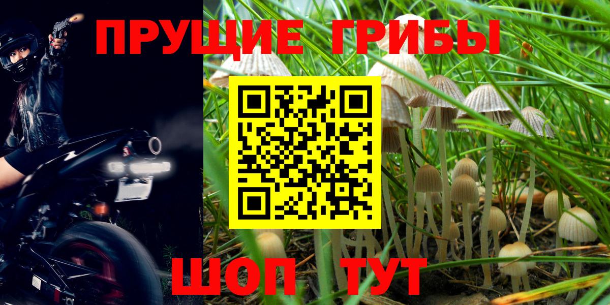 Псилоцибиновые грибы ЛСД  Вход с VPN  Саранск 
