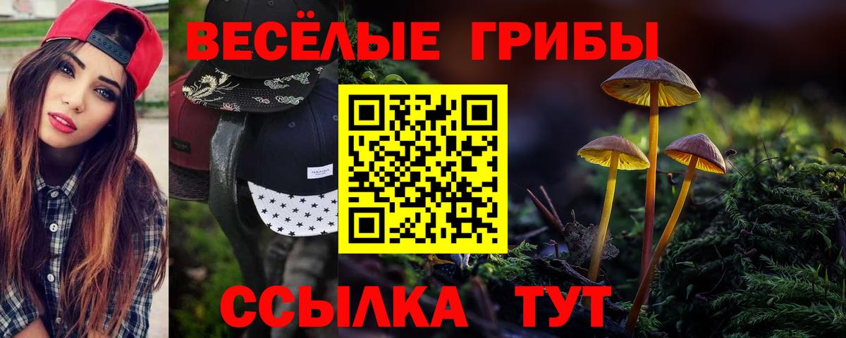 ГАШИШ  Cocaine  Конопля  Мефедрон   MDMA  Саранск  Вход с VPN 