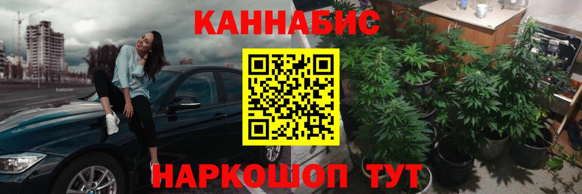 Каннабис индика Саранск